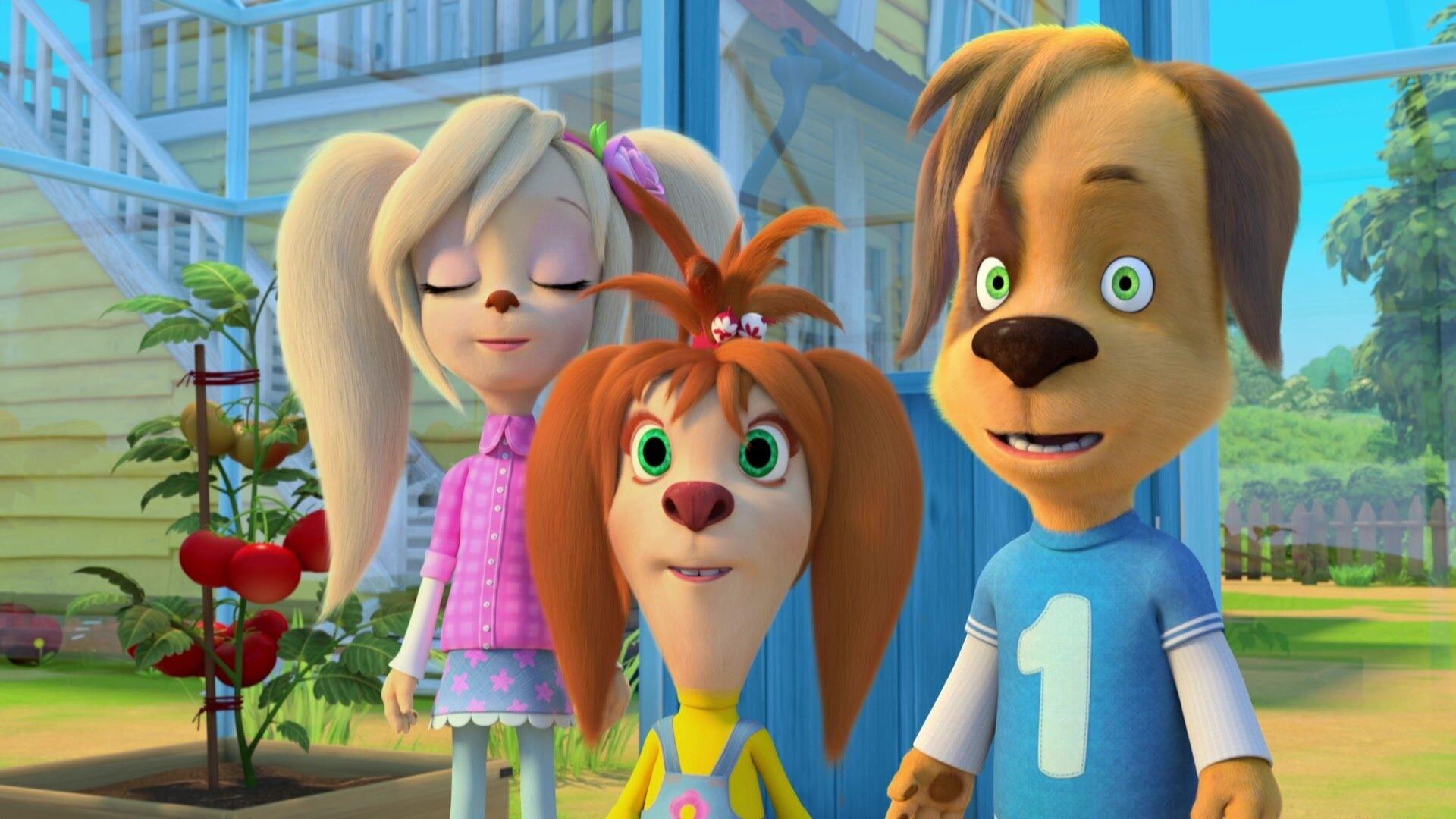 The Barkers