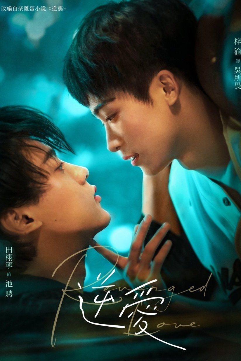 image-preview
