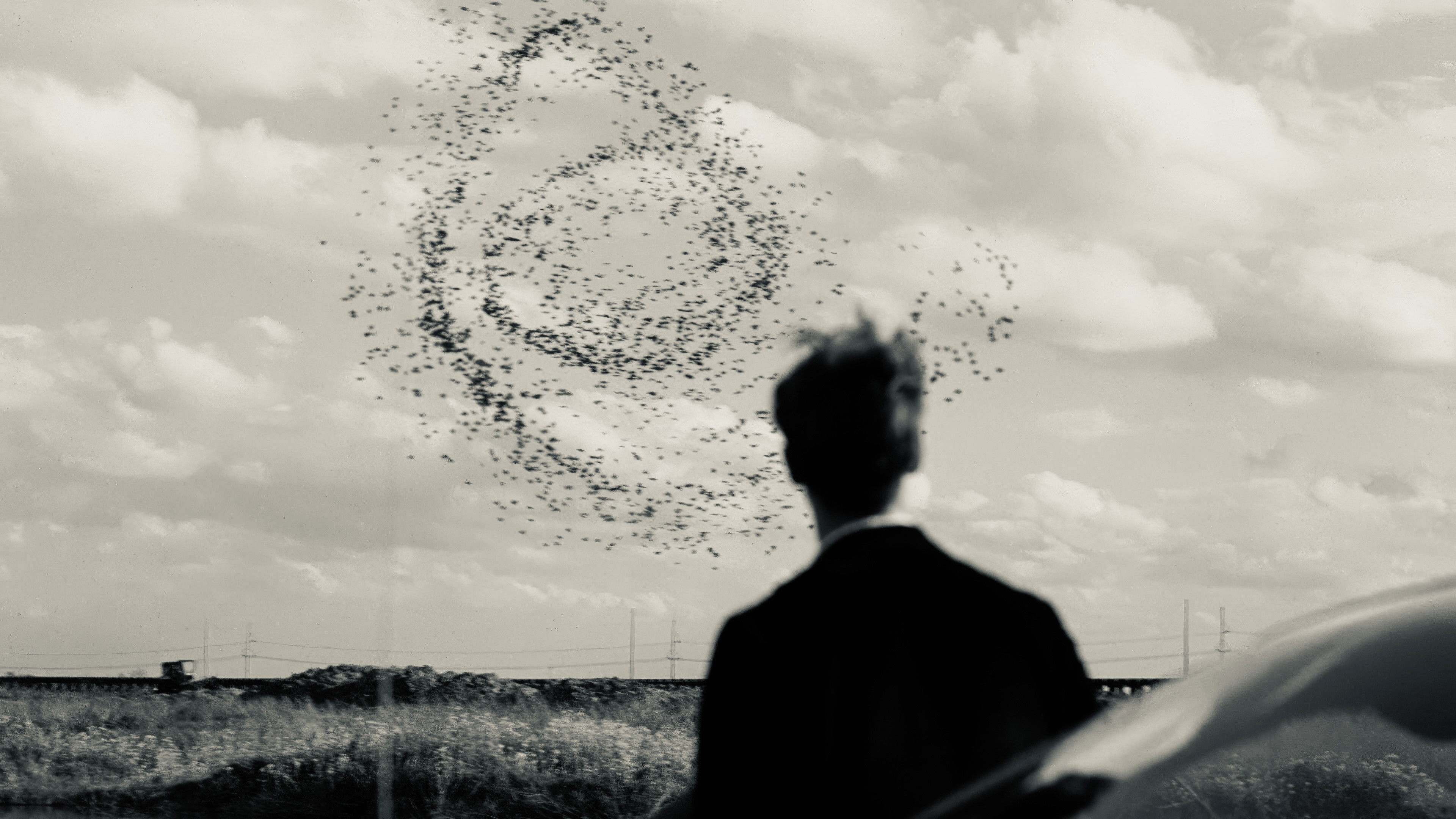 The Lord of the Rings: The Return of the King