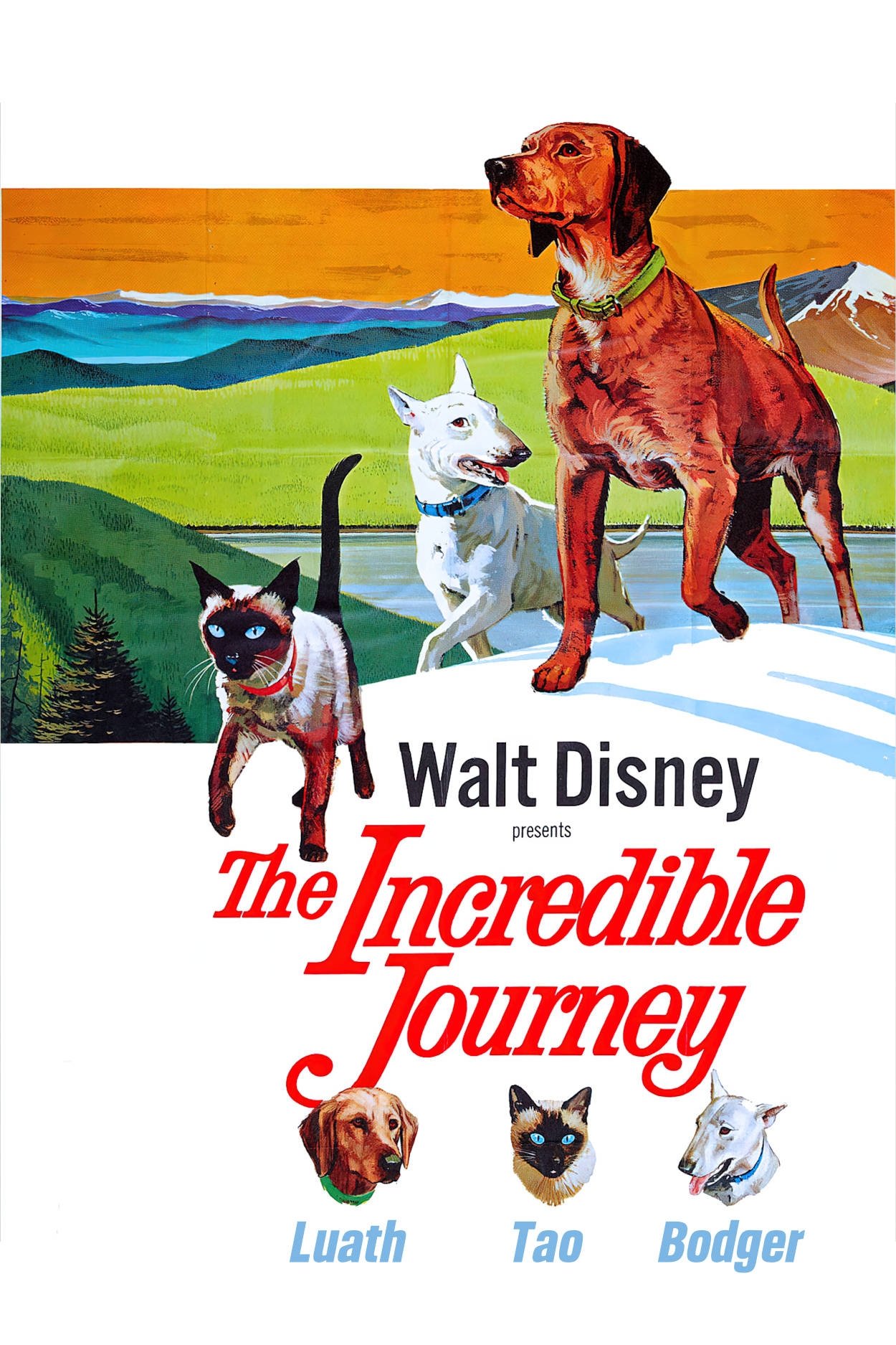 The Incredible Journey
