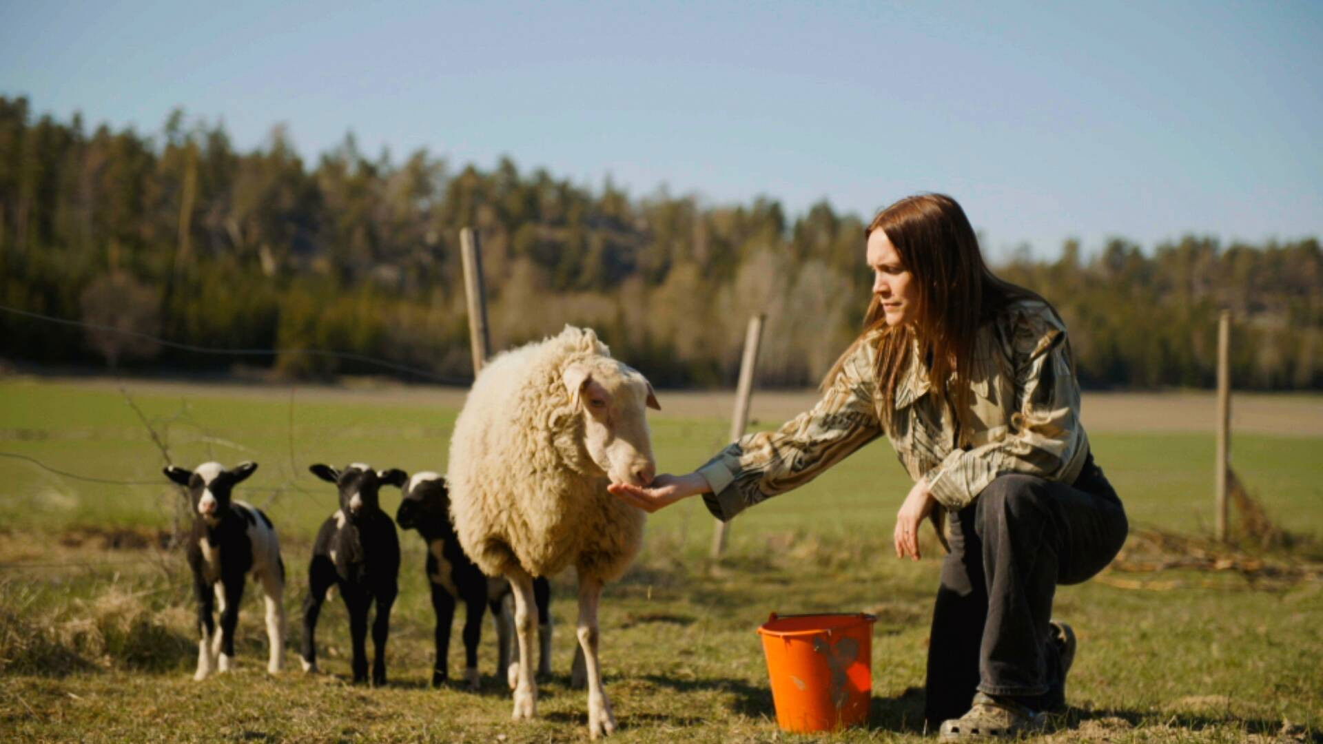 Hjälp, vi har köpt en bondgård! - Épisode 1