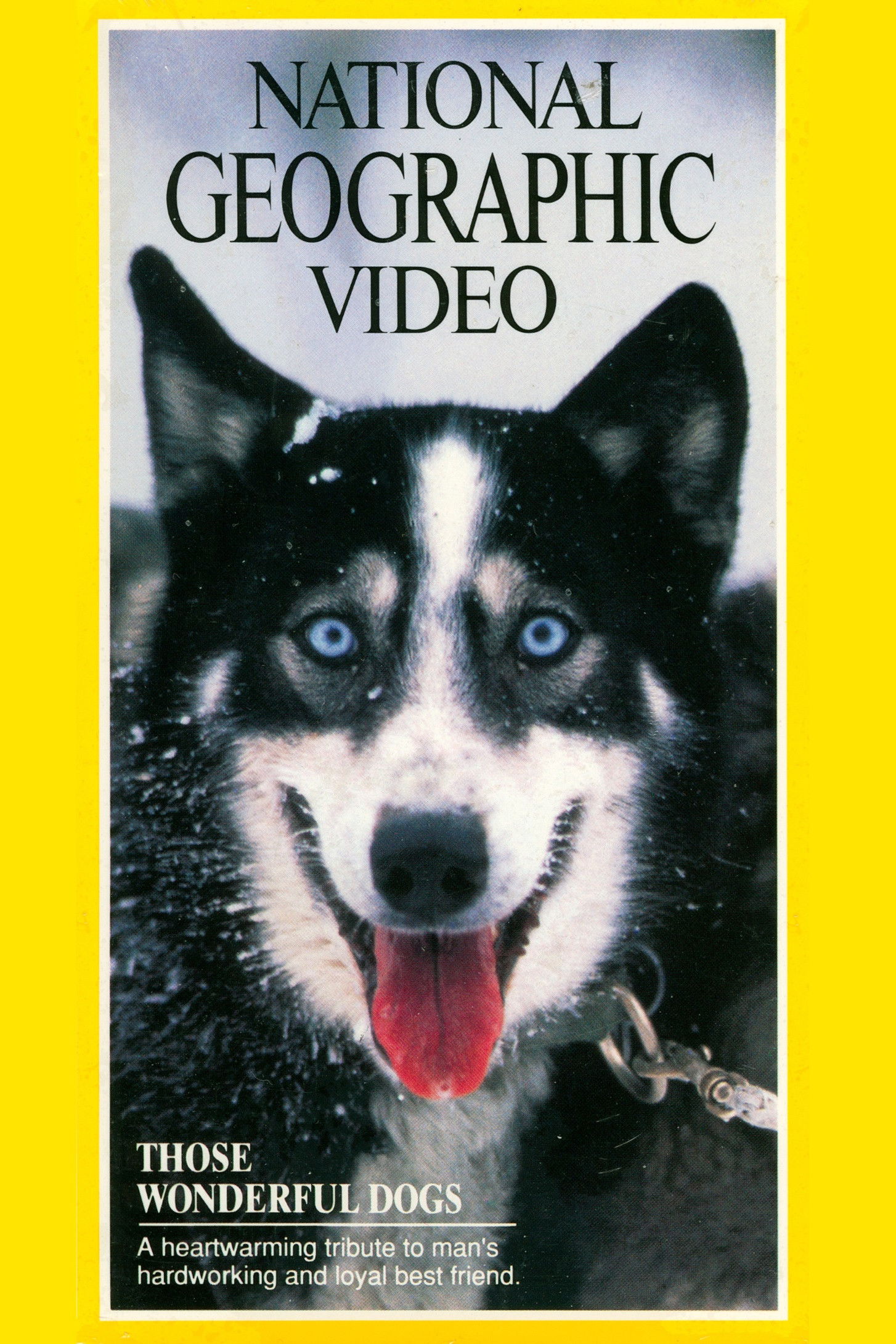 National Geographic: Those Wonderful Dogs