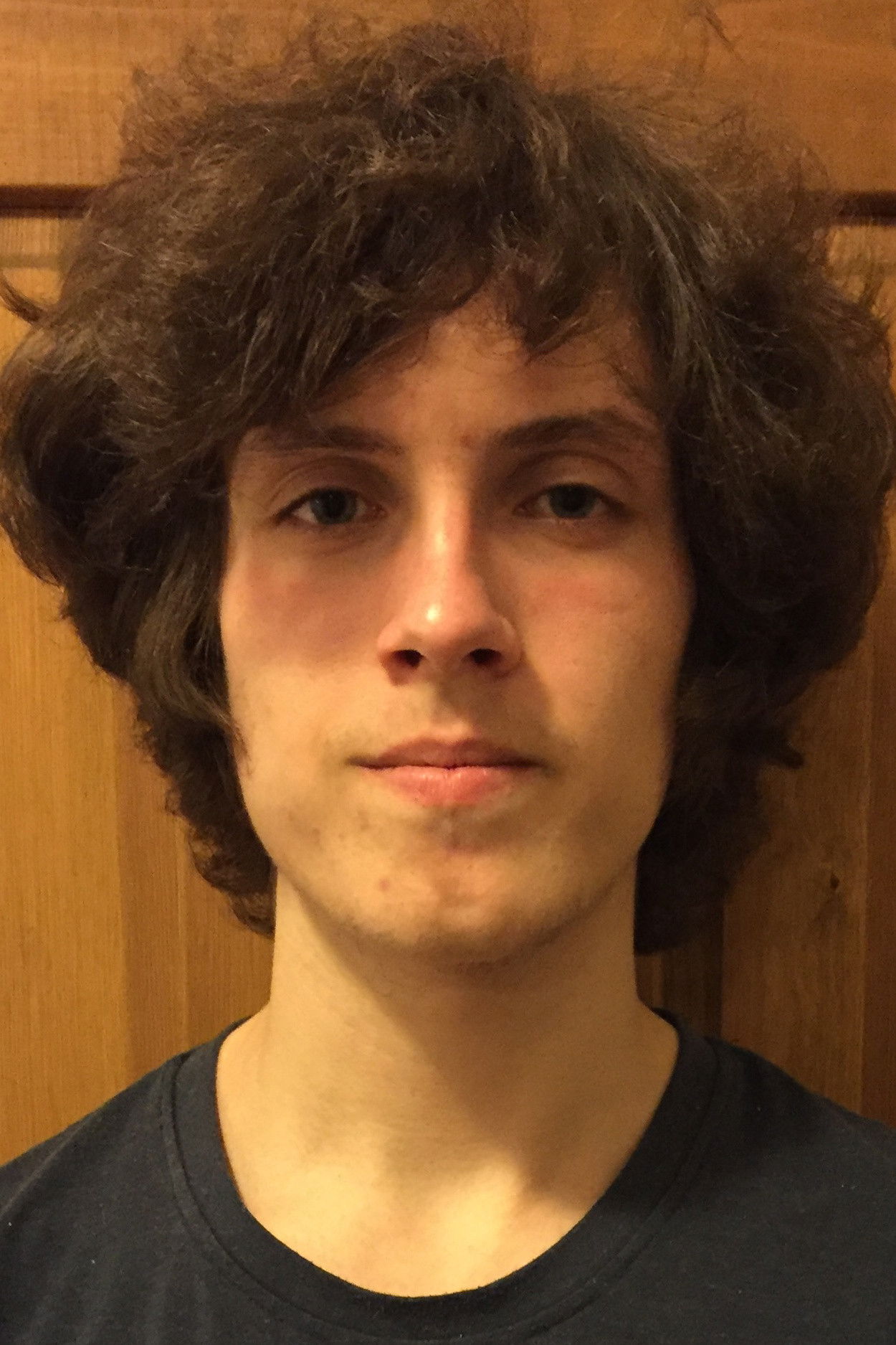 et billede af Josef Polášek