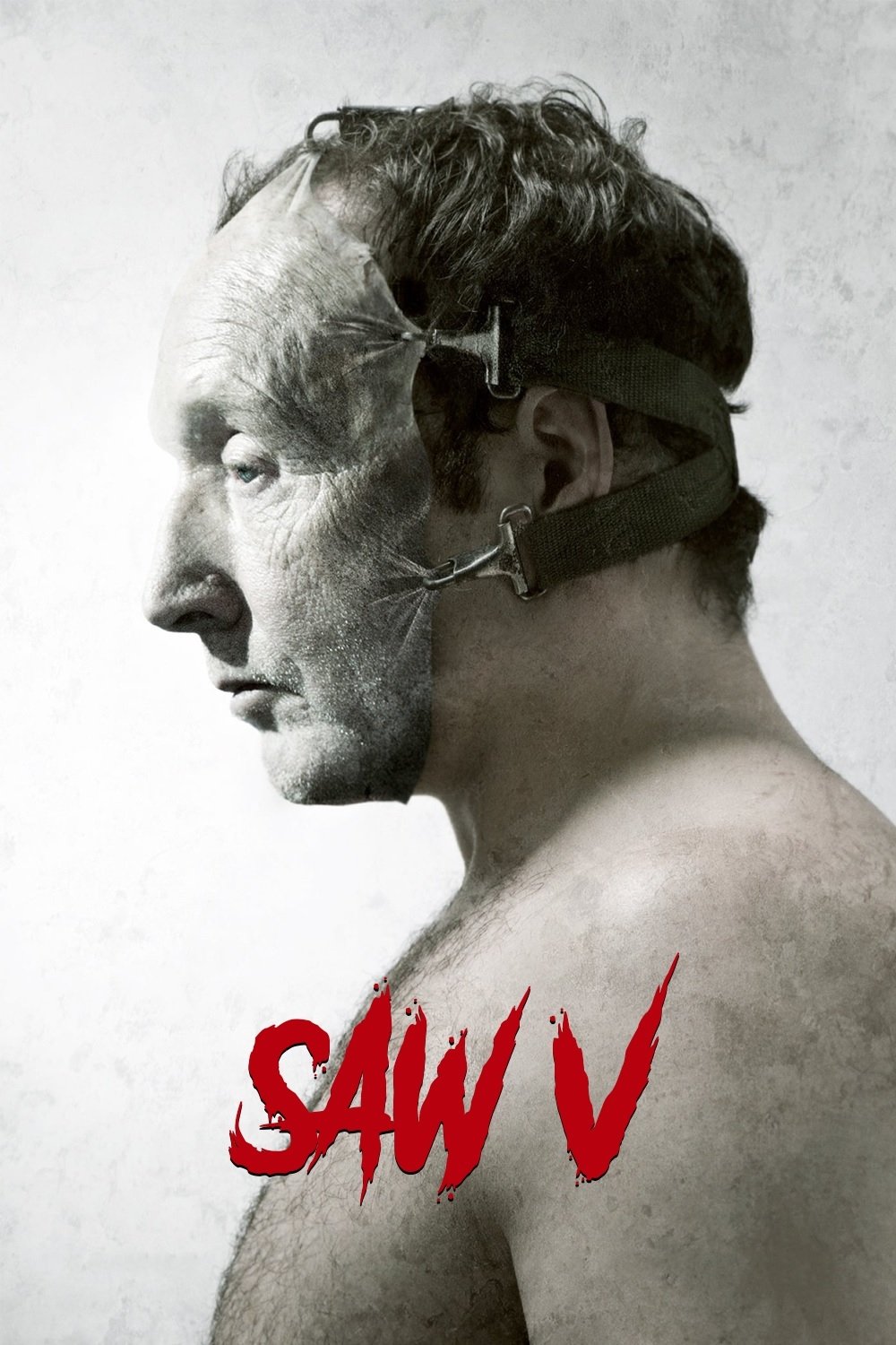 Saw V