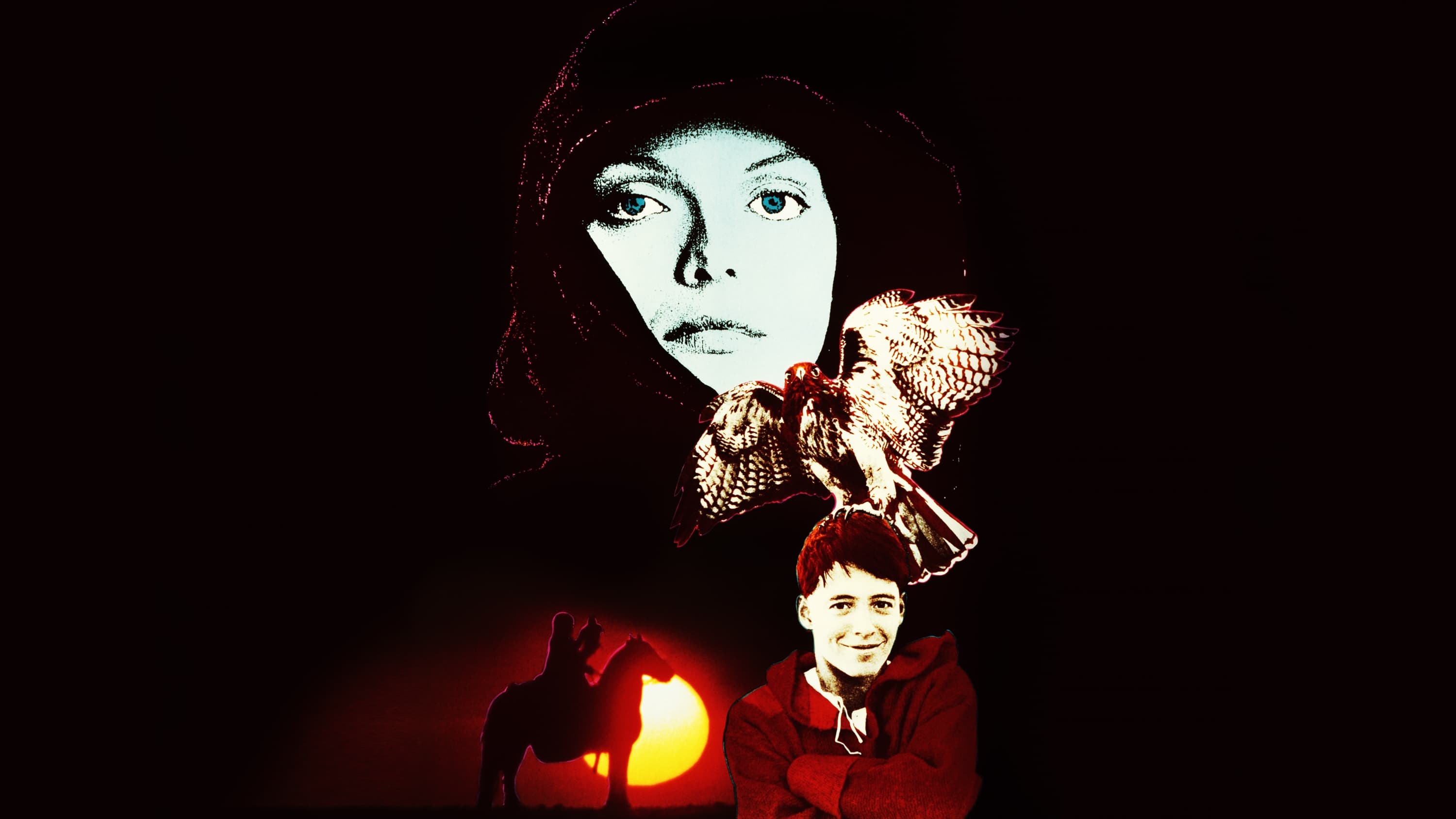 Image du film Ladyhawke, la femme de la nuit sfbyiedqmqd3zjvnxonxzogpjavjpg