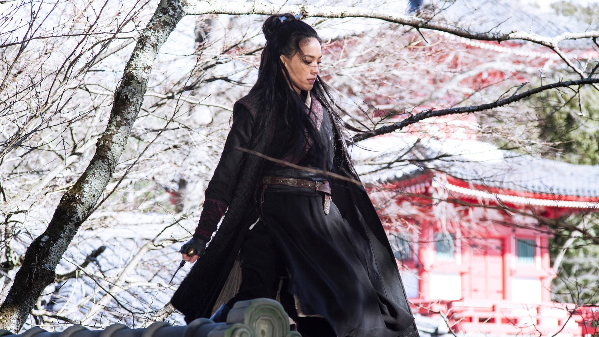 Image du film The Assassin sg0vjfjcpdvoggvneeqzbn5tlcpjpg