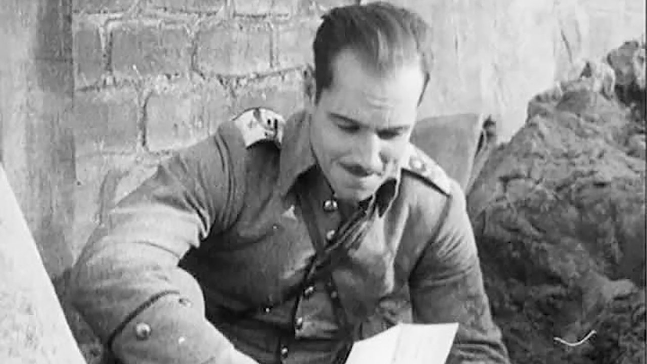 The Little American (1917)