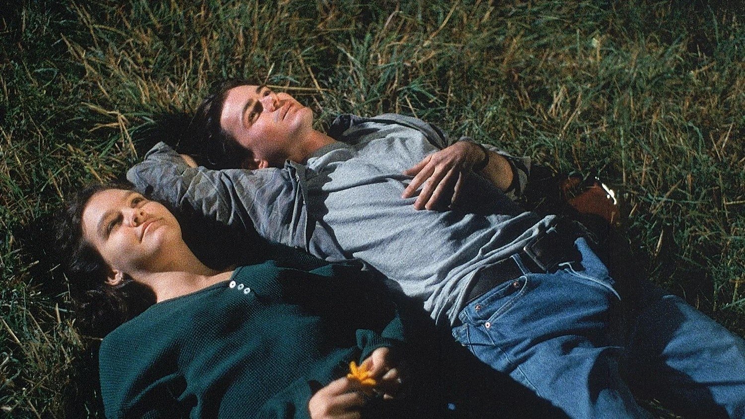 Spanking the Monkey (1994)