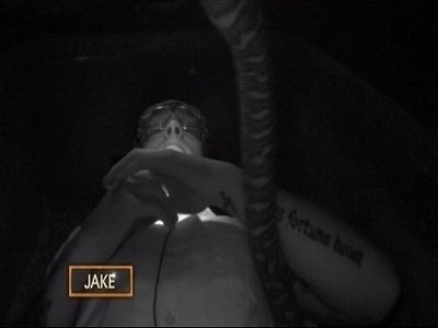 I'm a Celebrity...Get Me Out of Here!