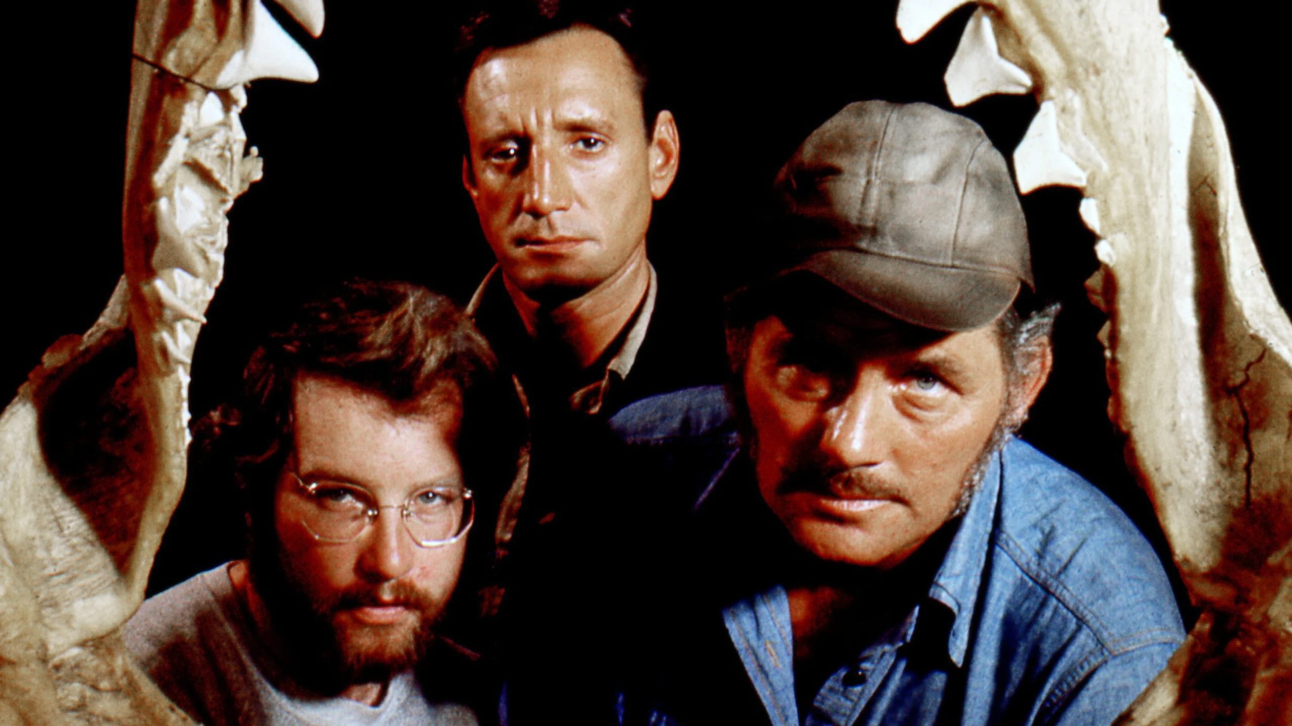 Watch Jaws For Free Online 0123Movies123Movies