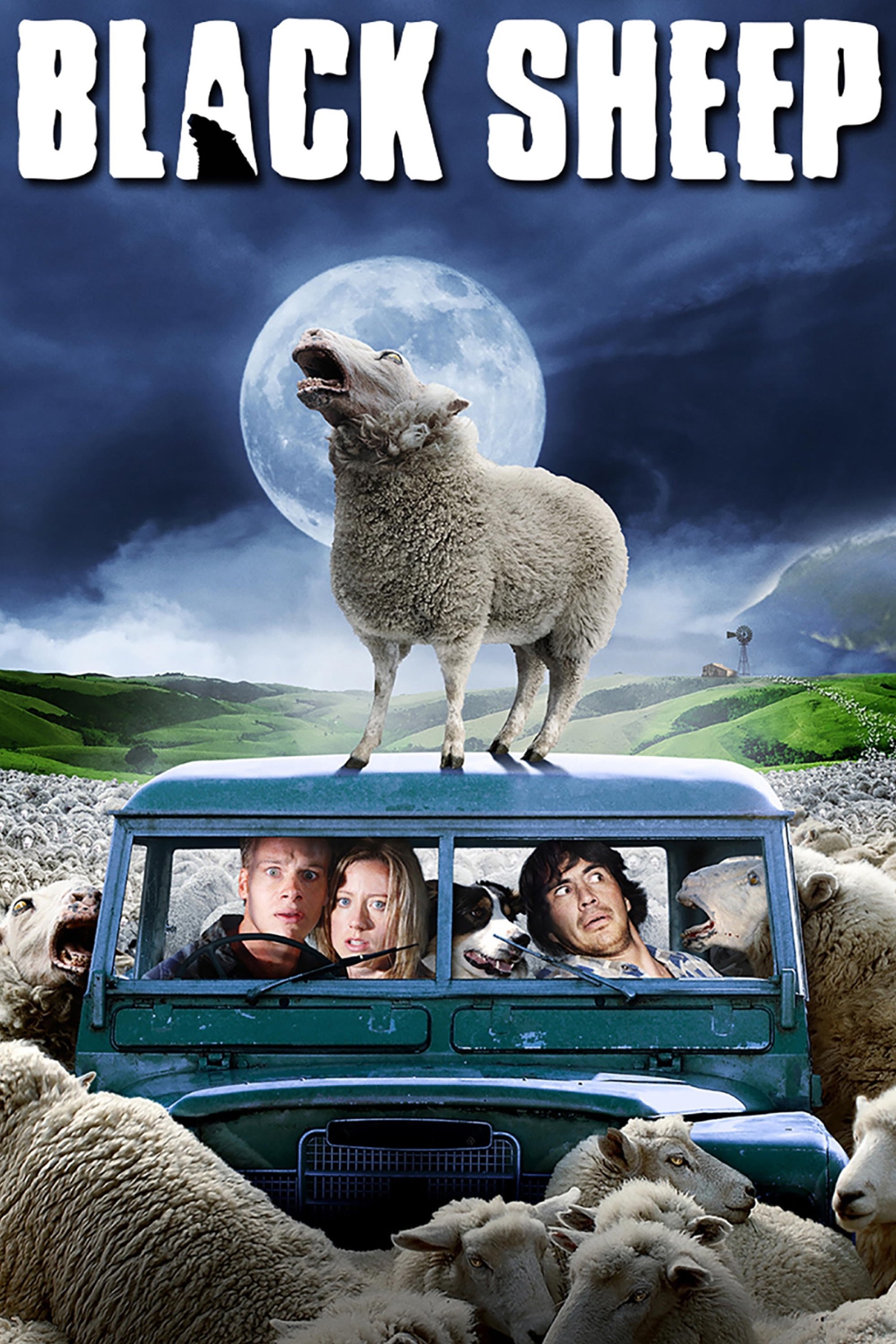Black Sheep