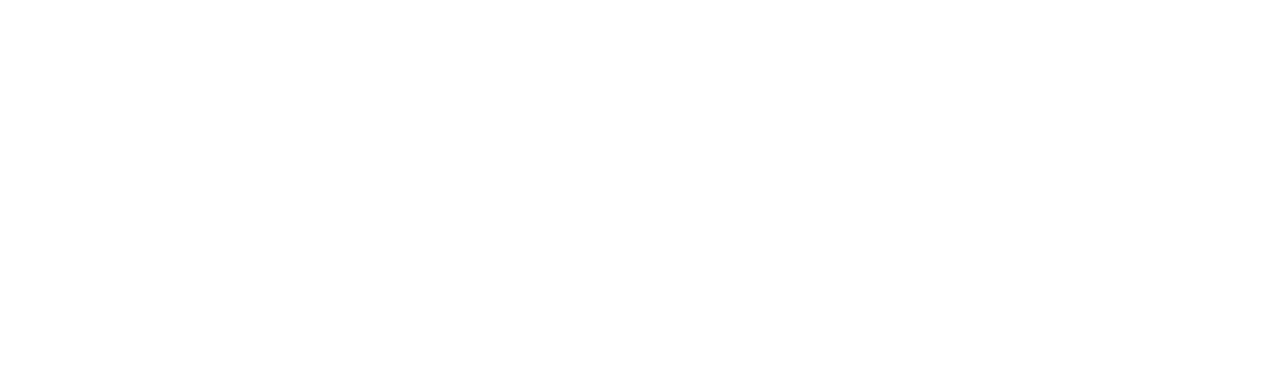 Černý jestřáb sestřelen