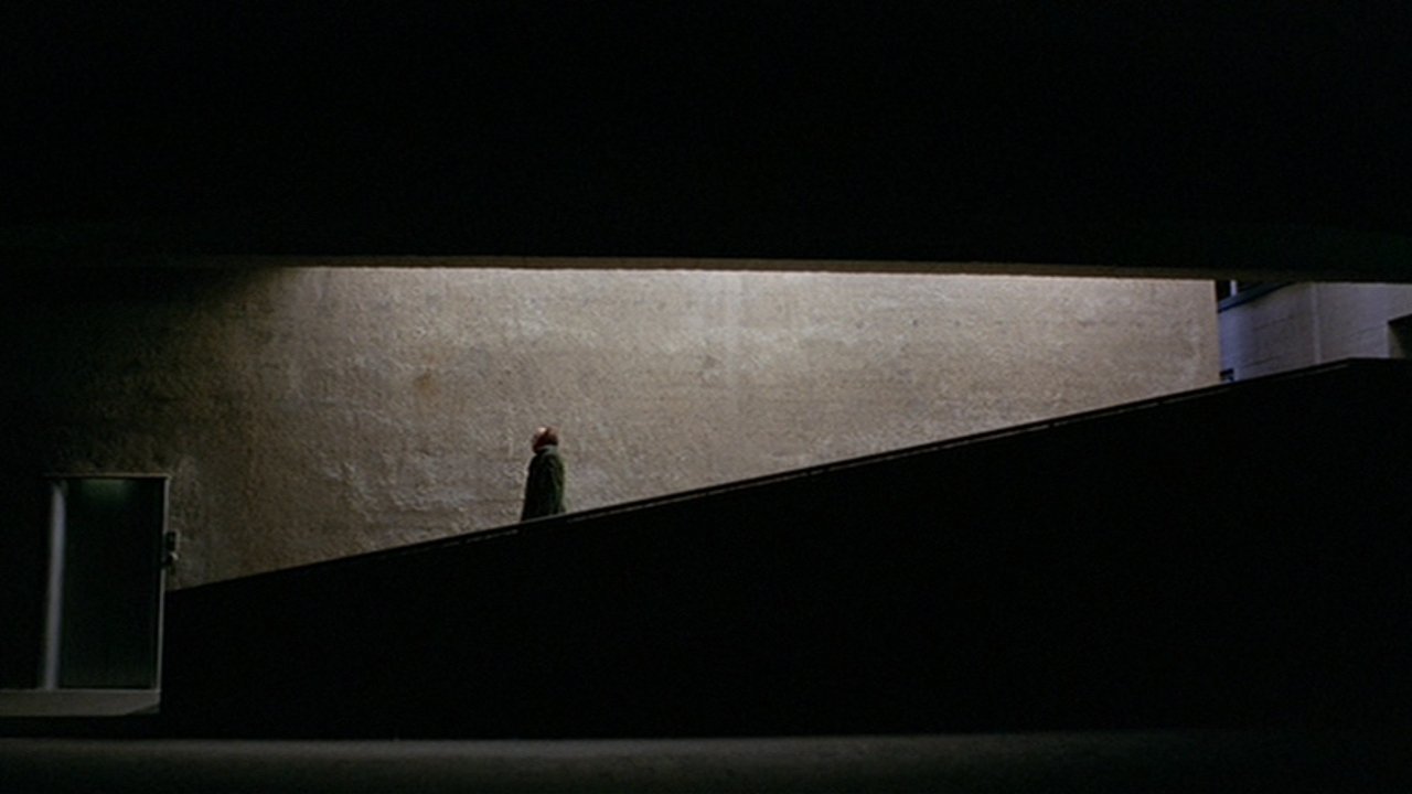 The Fifth Cord (1971)