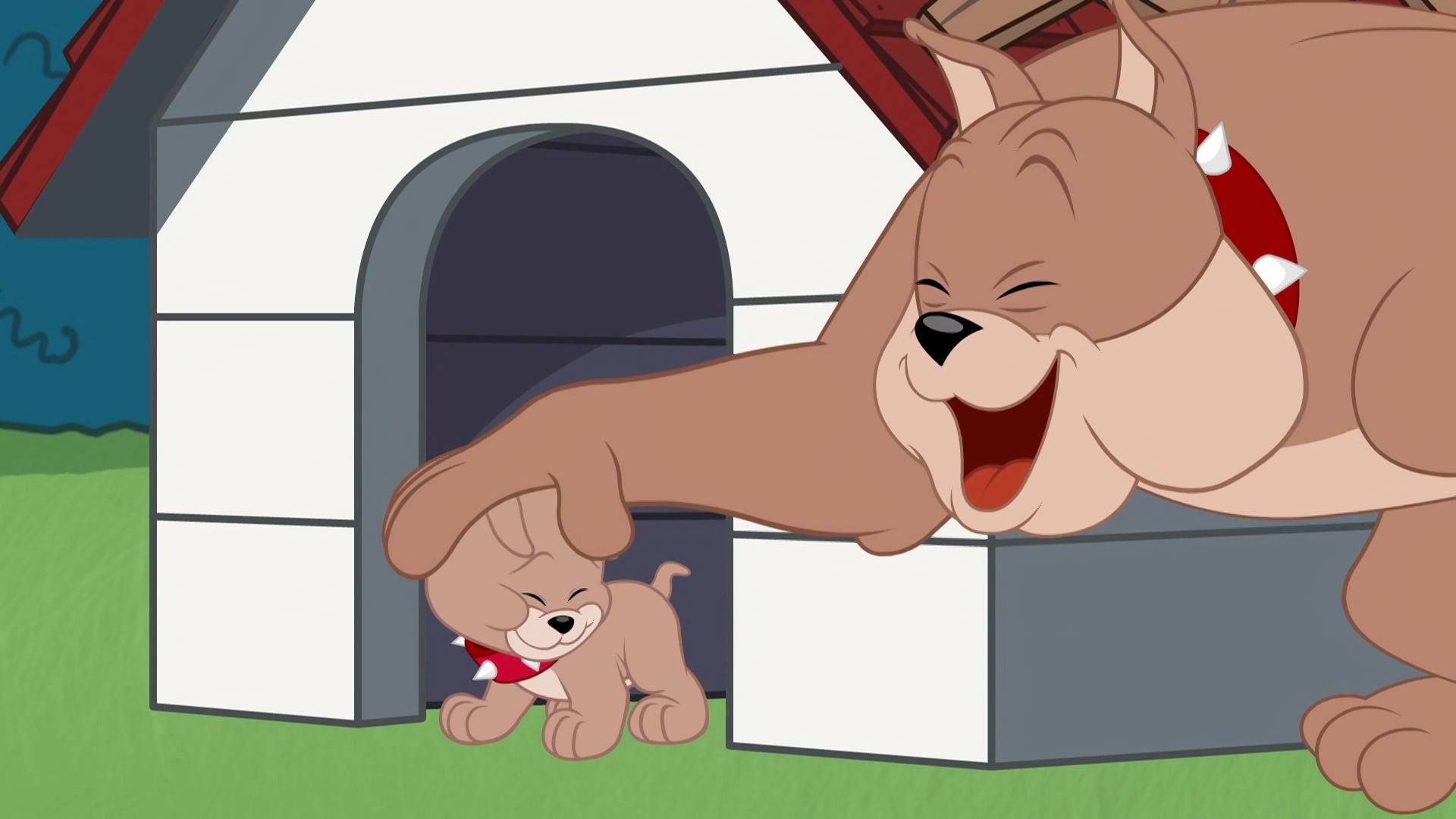 The Tom and Jerry Show