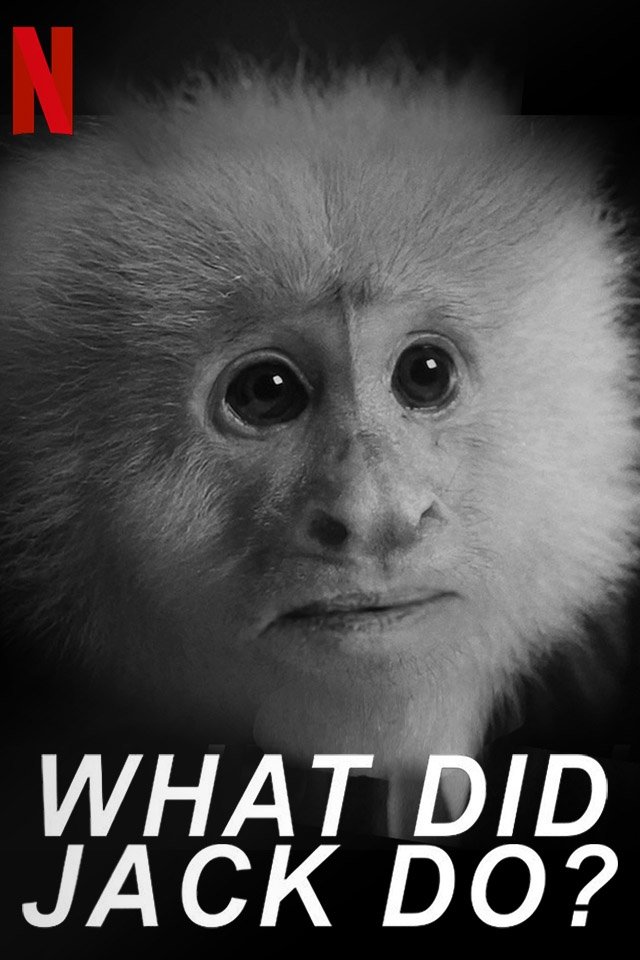 WHAT DID JACK DO?