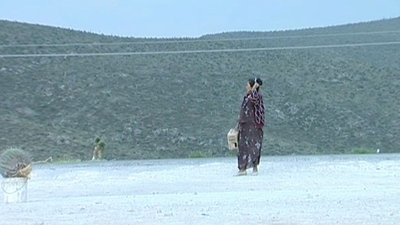 Tropic of Cancer (2004)