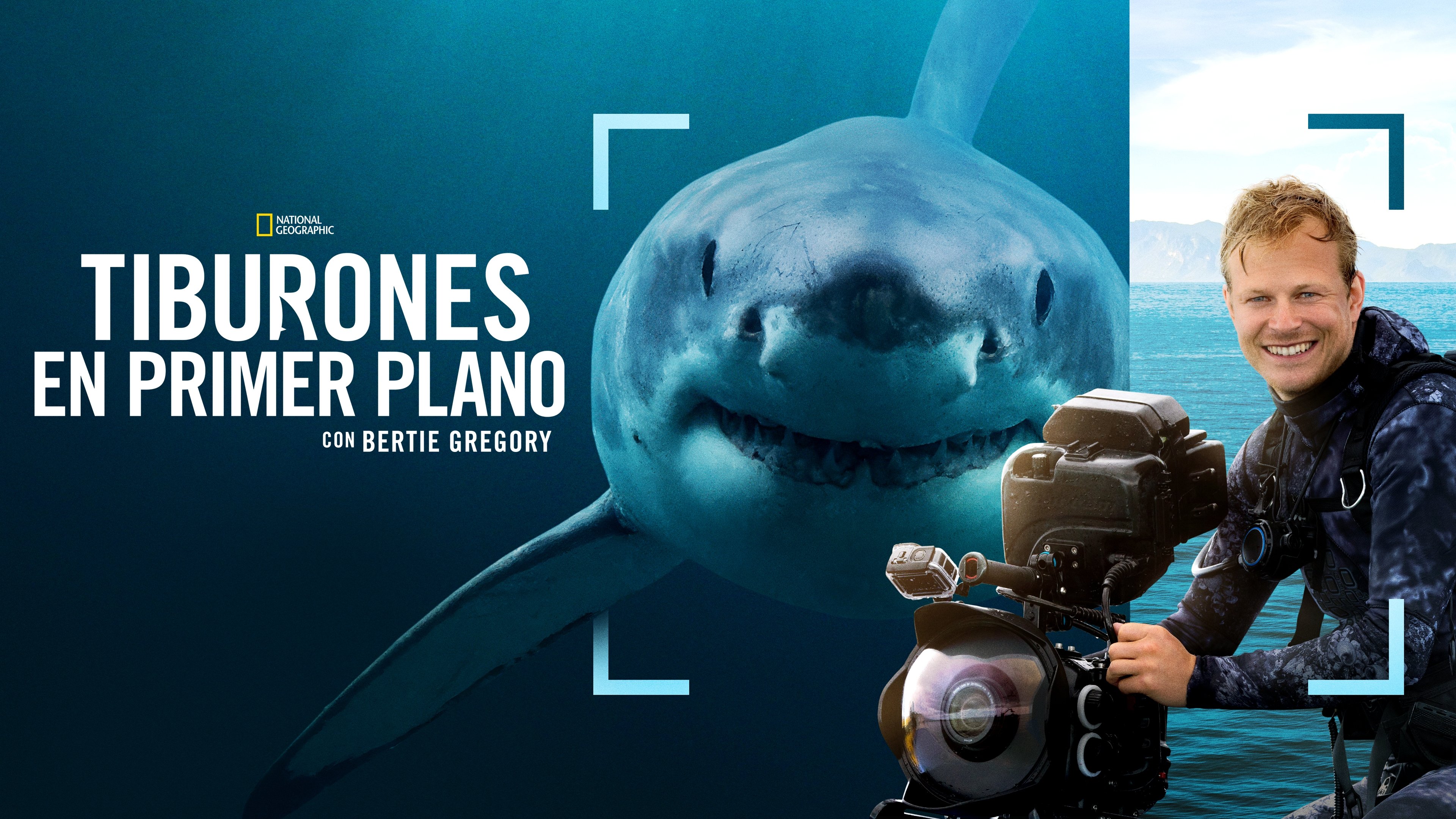 Sharks Up Close with Bertie Gregory backdrop