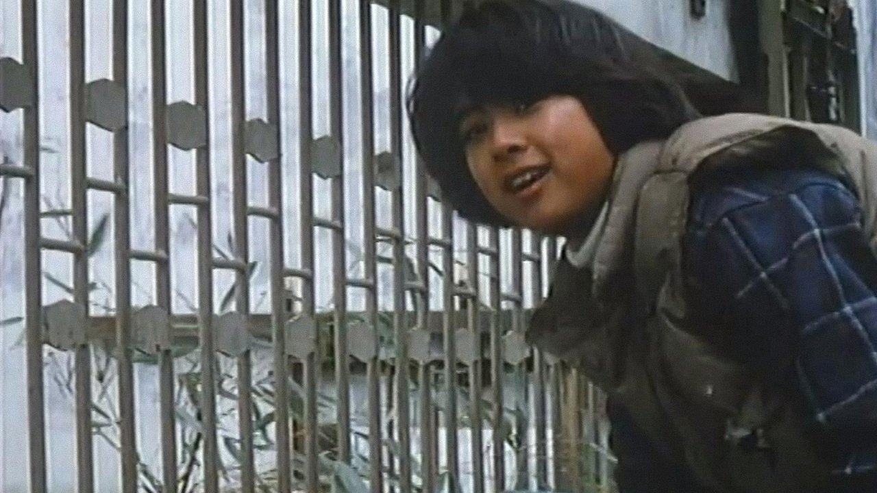 The Panda Story (1988)