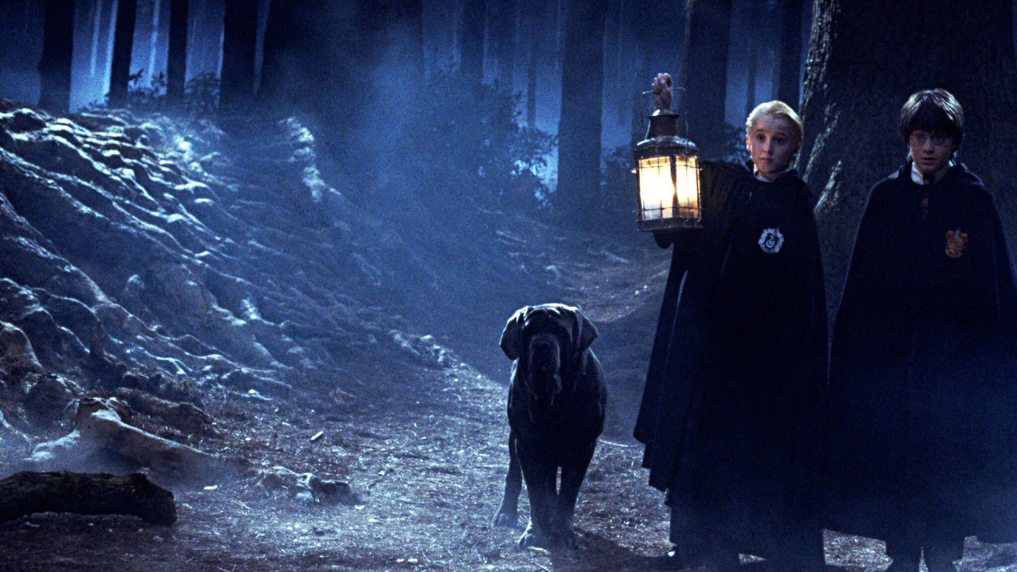 Harry Potter und ein Stein