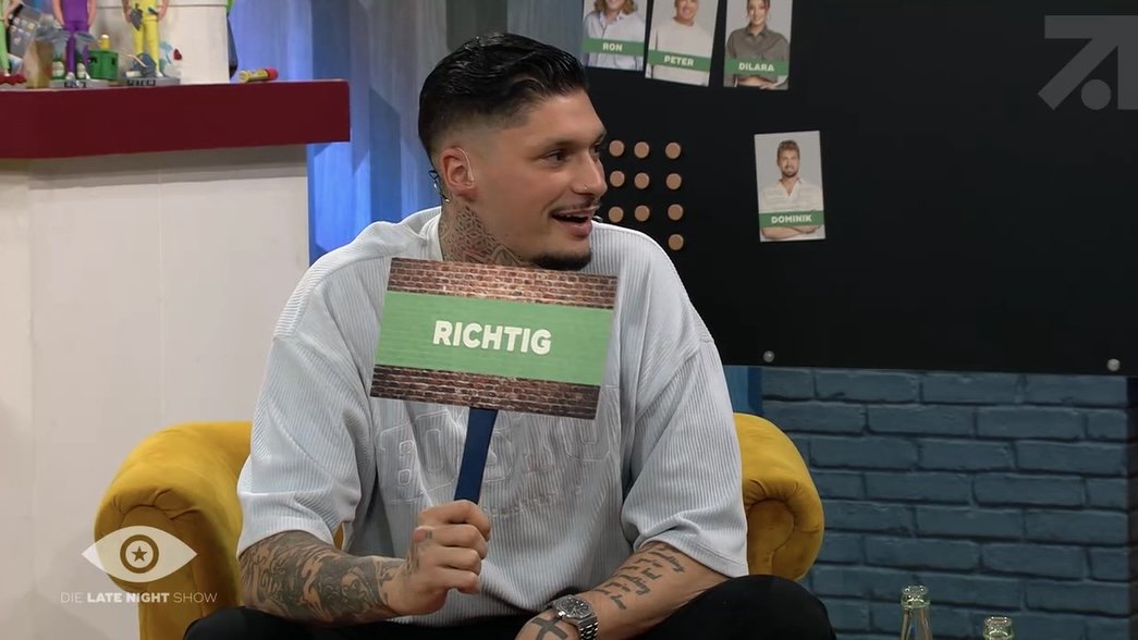 Big Brother - Die Late Night Show