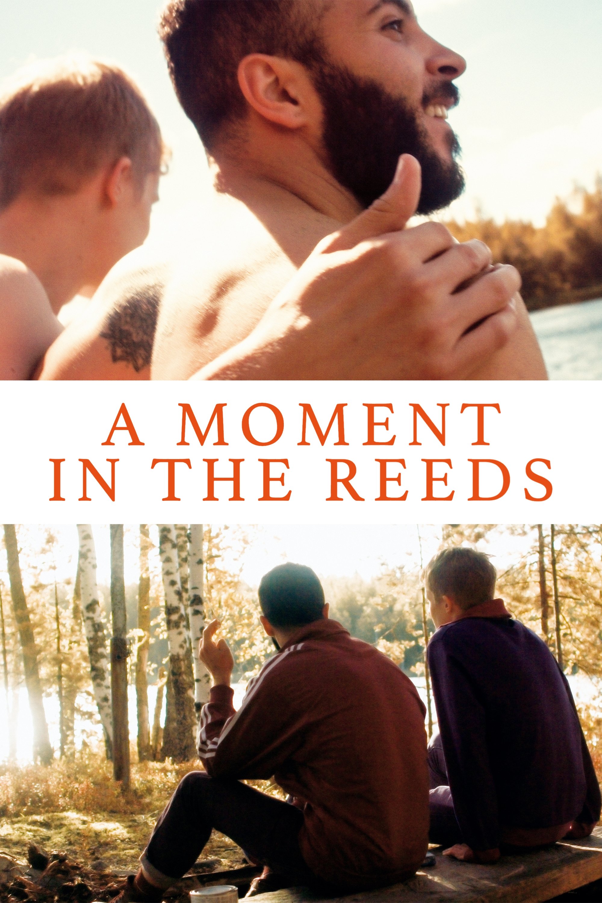 A Moment in the Reeds