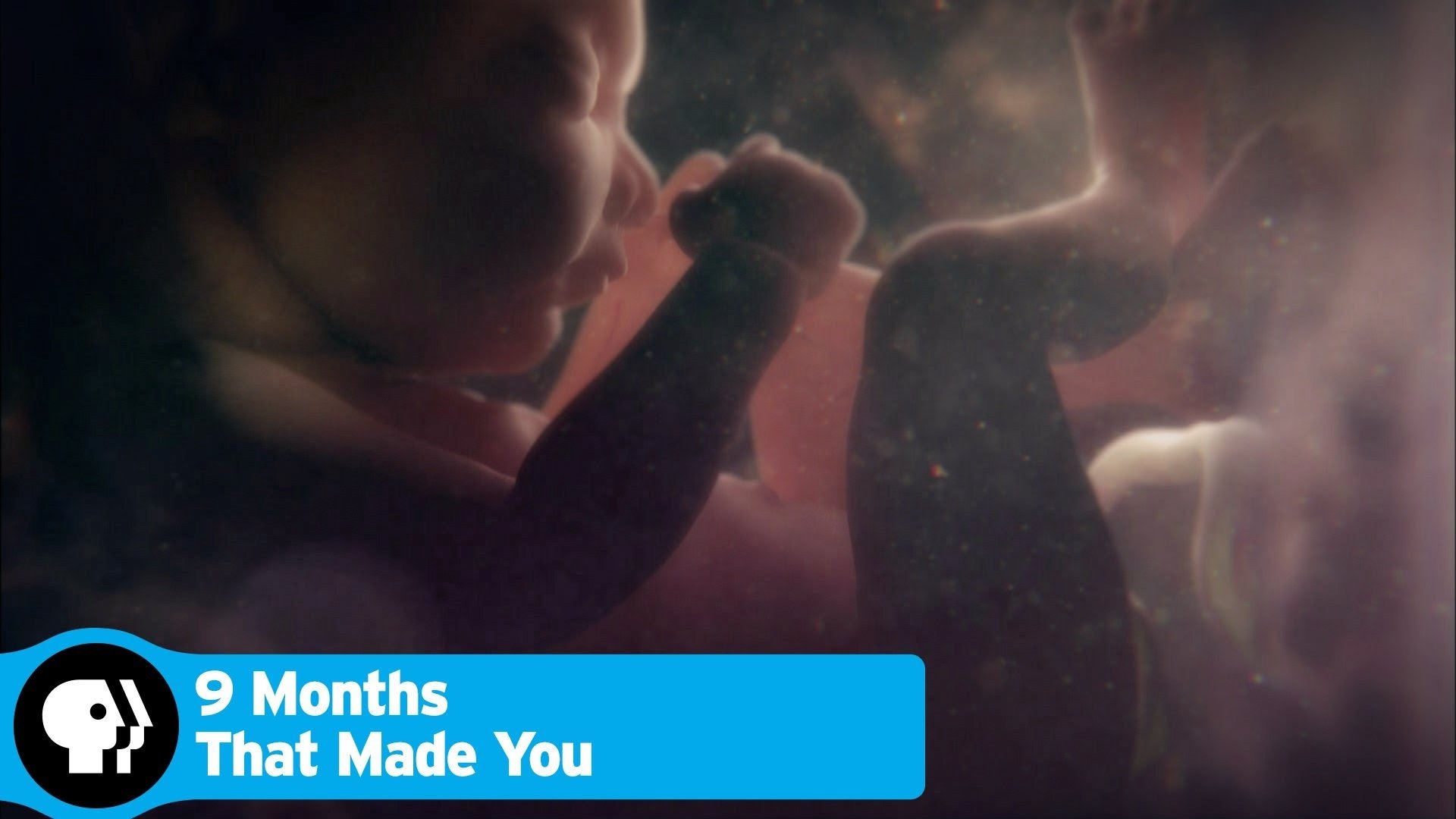 9 Months That Made You - Season 1