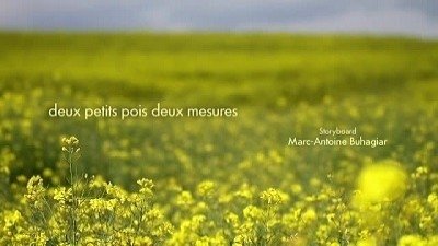 Minuscule - Deux petits pois deux mesures
