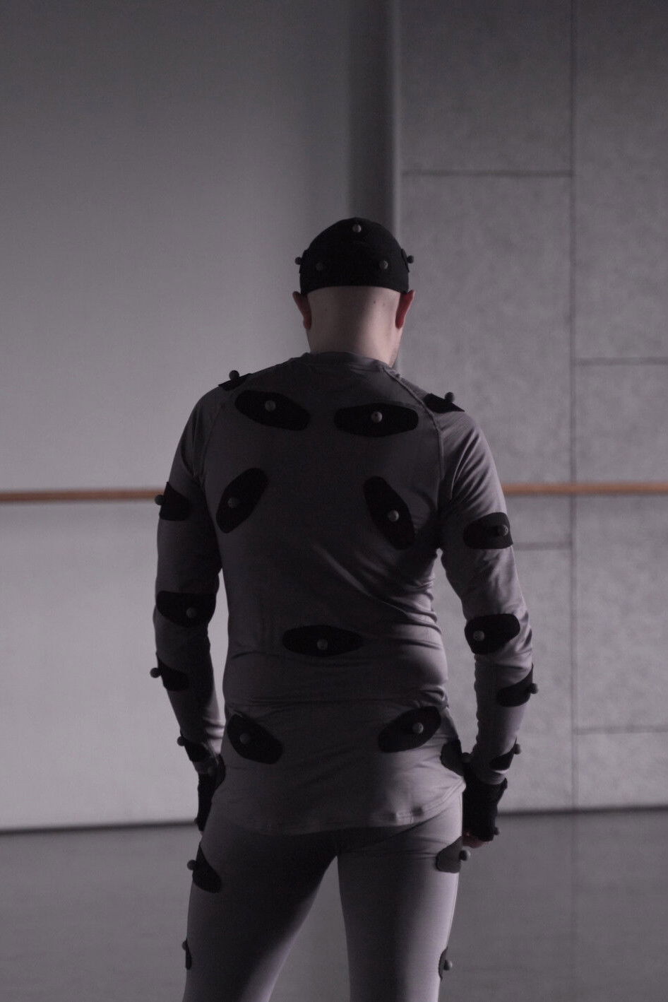 The Animal That Therefore I Am