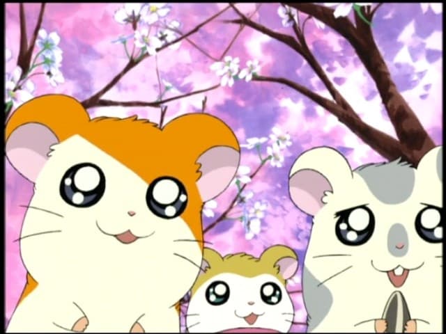 Hamtaro