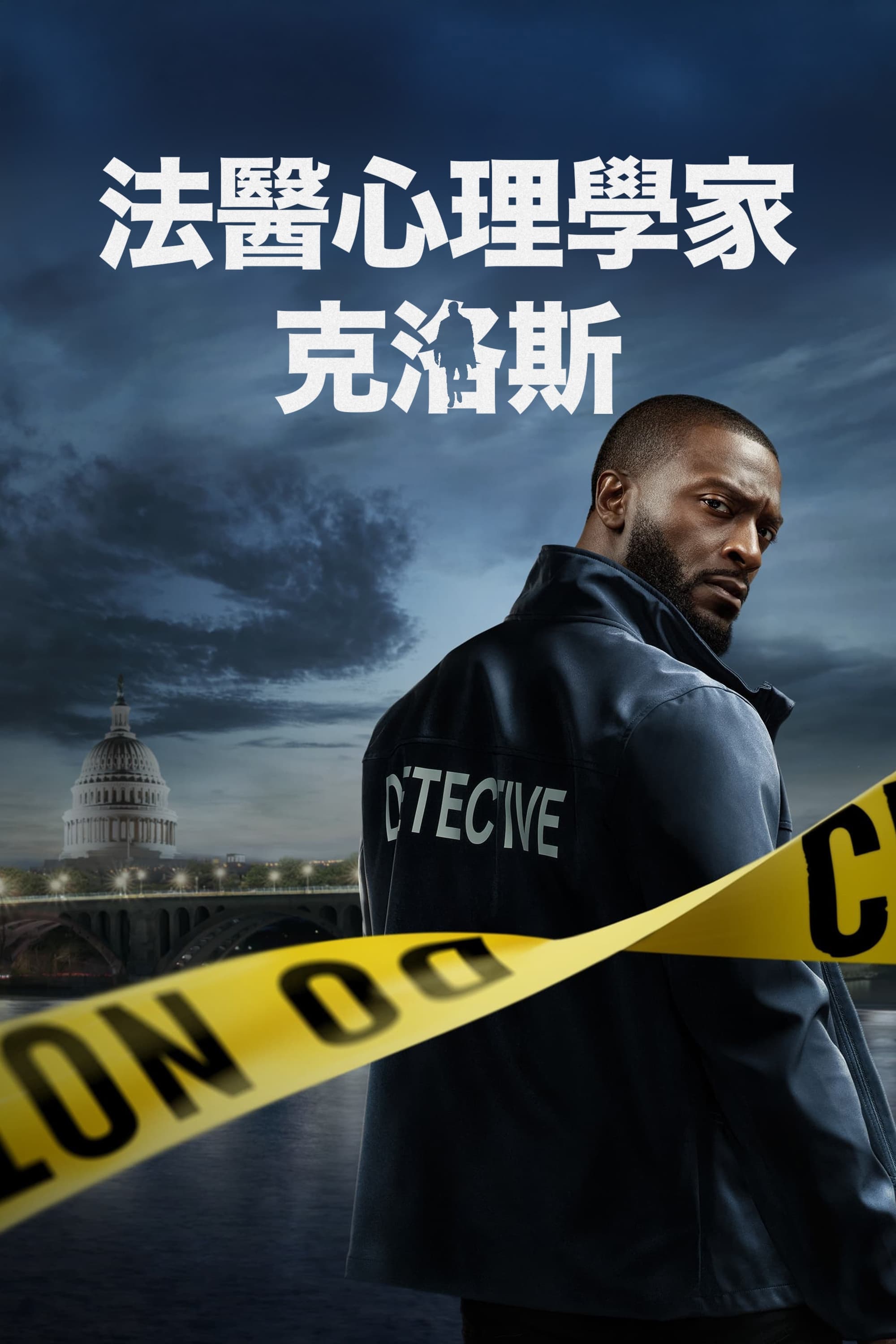 神探追缉令