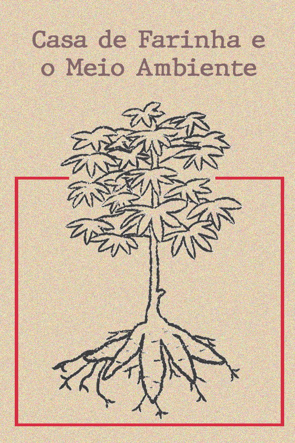 Casa de Farinha e o Meio Ambiente