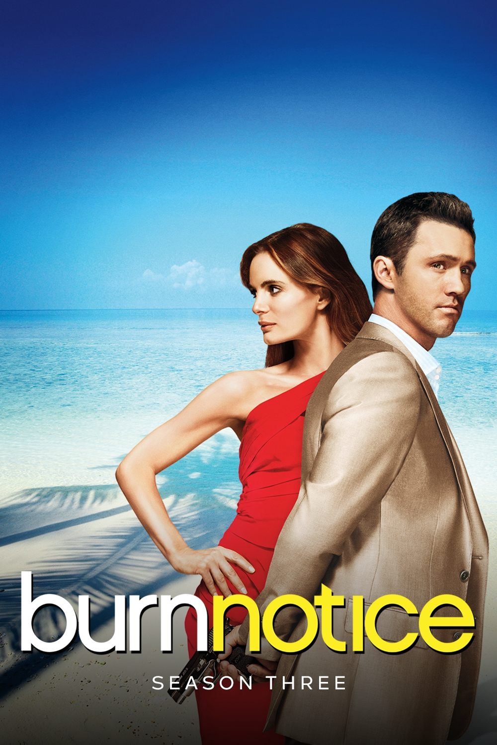 Burn Notice - Season 3