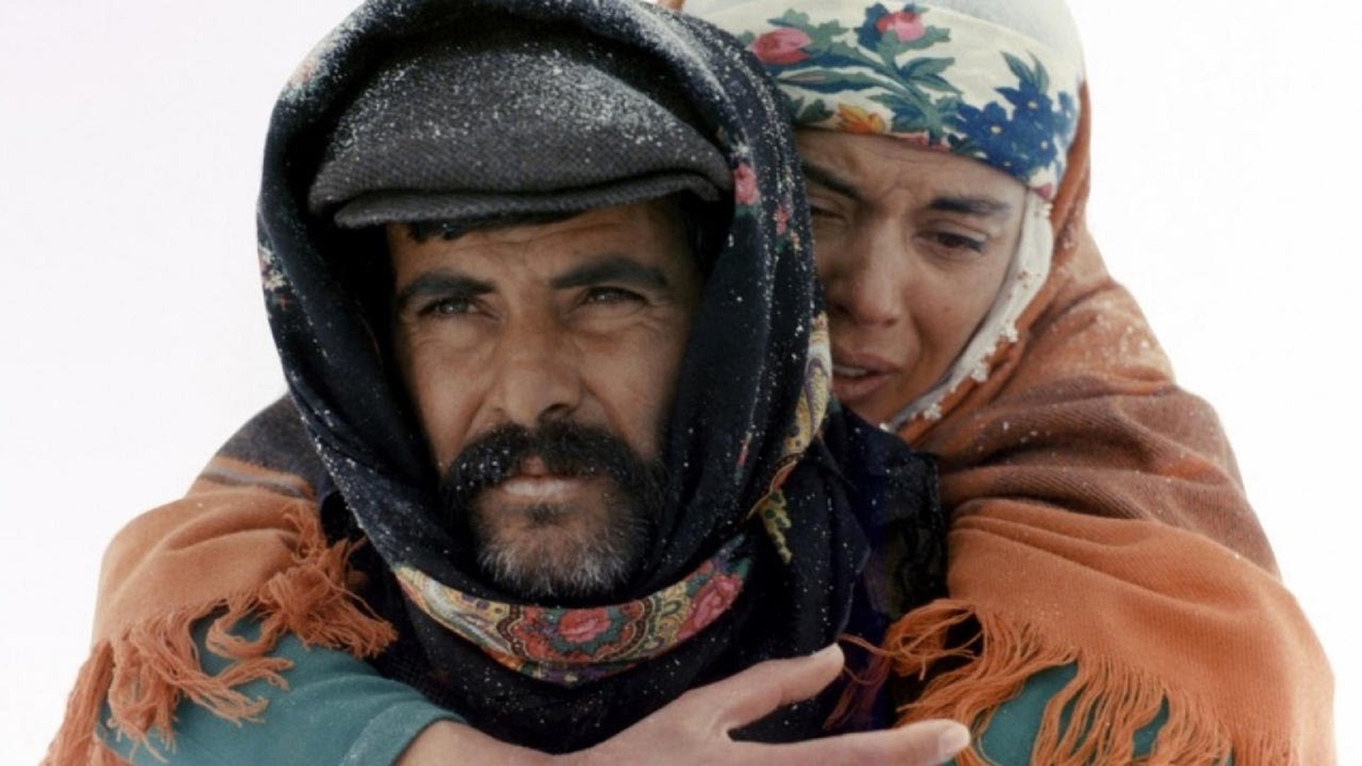 Le Troupeau