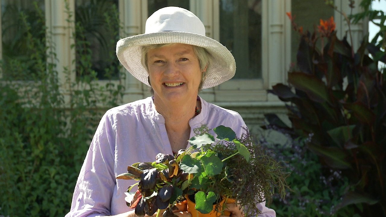 Gardening Australia