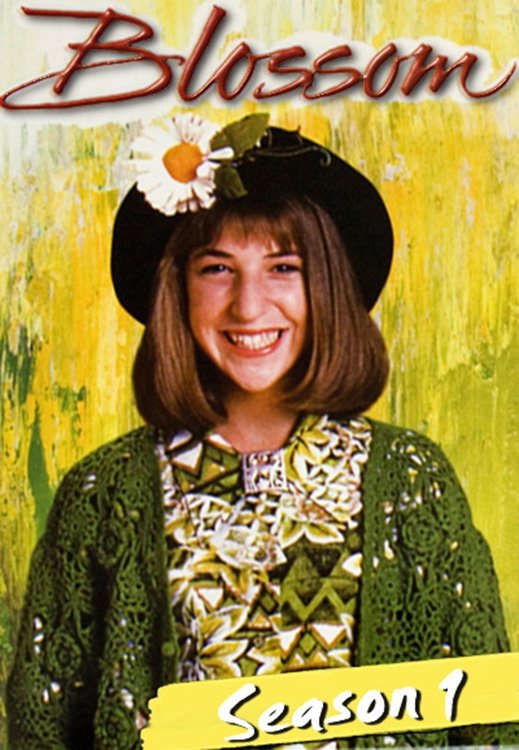 Capa da 1º temporada da série Blossom