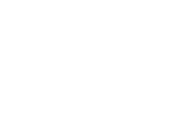 Studio Local