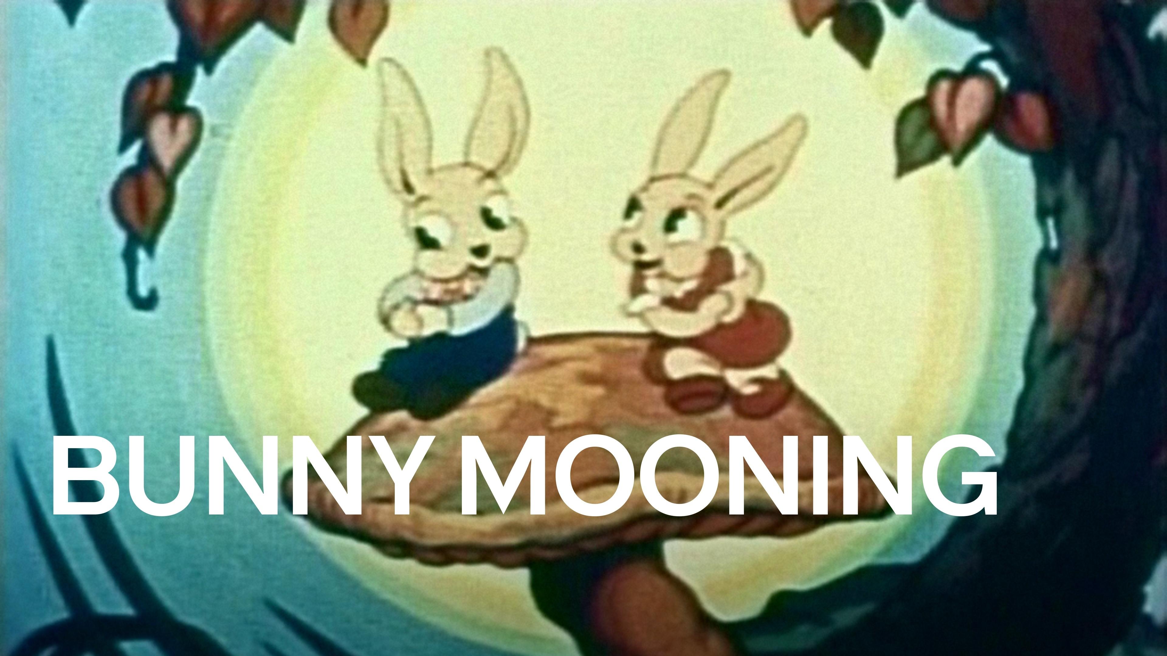 Bunny Mooning (1937)