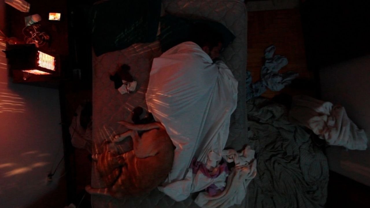 Imagem do Filme Vida de perros