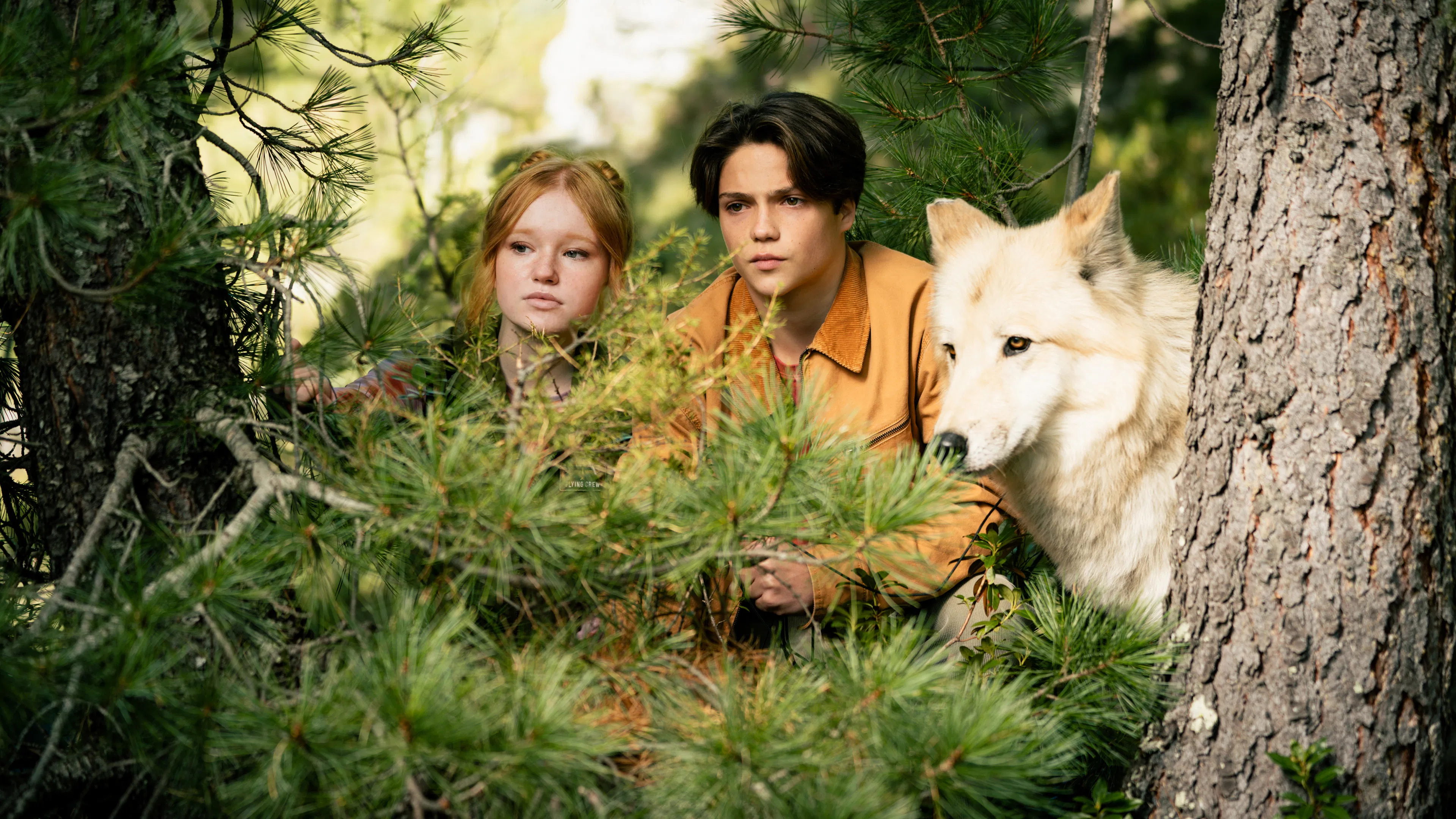 Hintergrundbild Woodwalkers 2