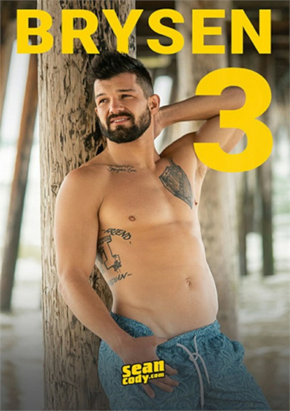 Brysen 3