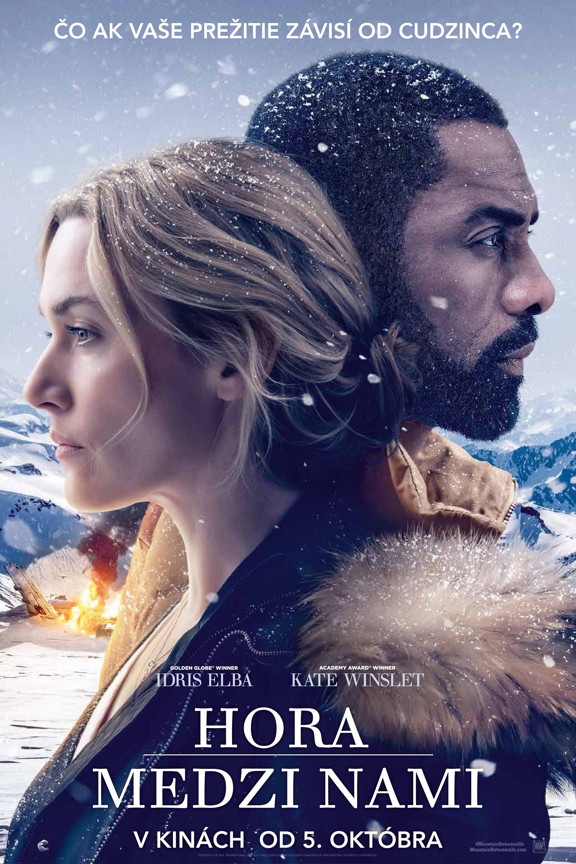 The Mountain Between Us