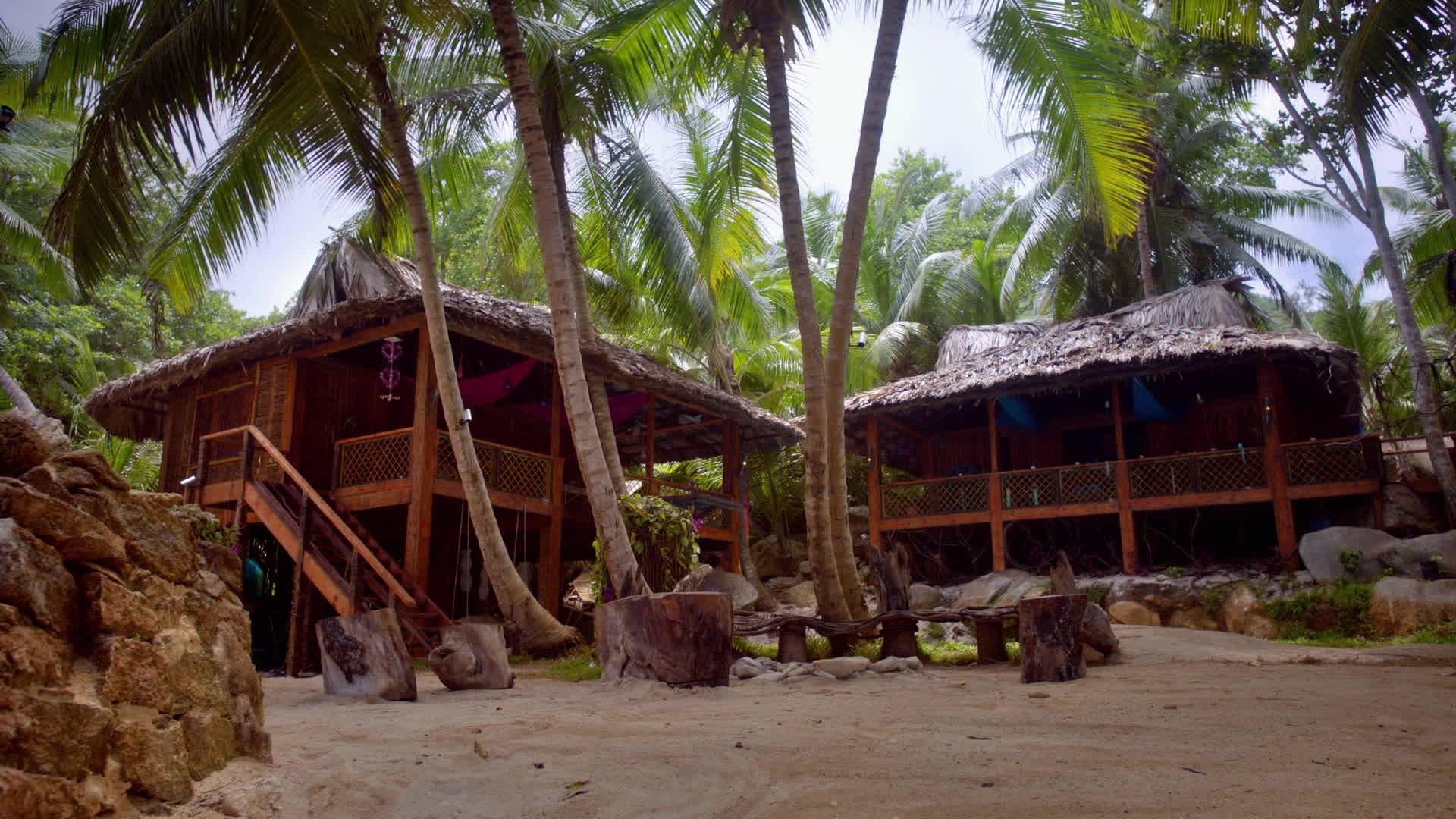 The Island