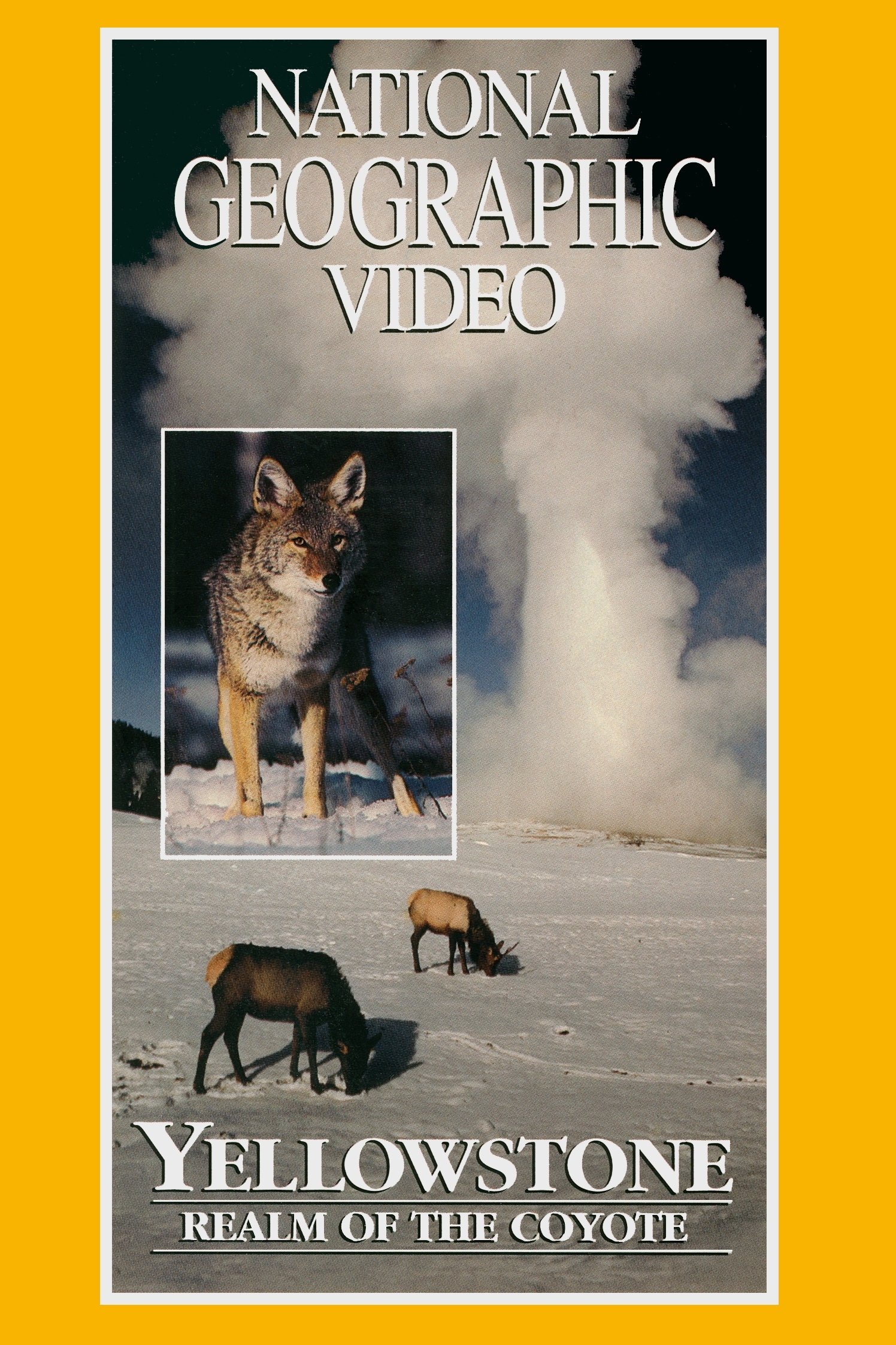 Content cover