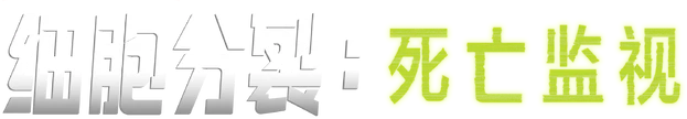 image-preview