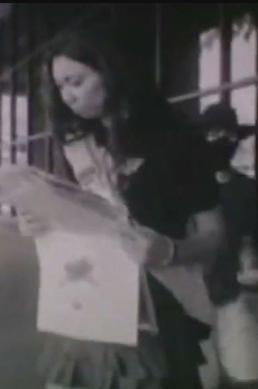 The Great Newspaper Robbery