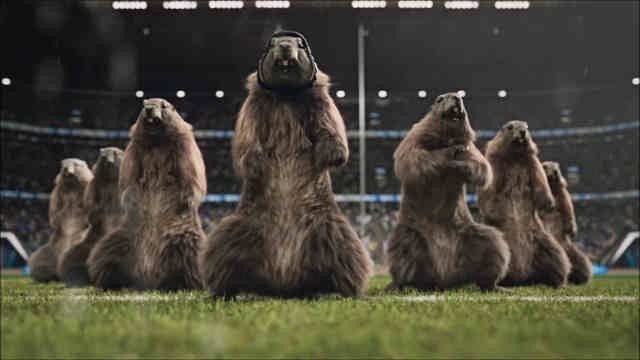 Les Marmottes - Rugby