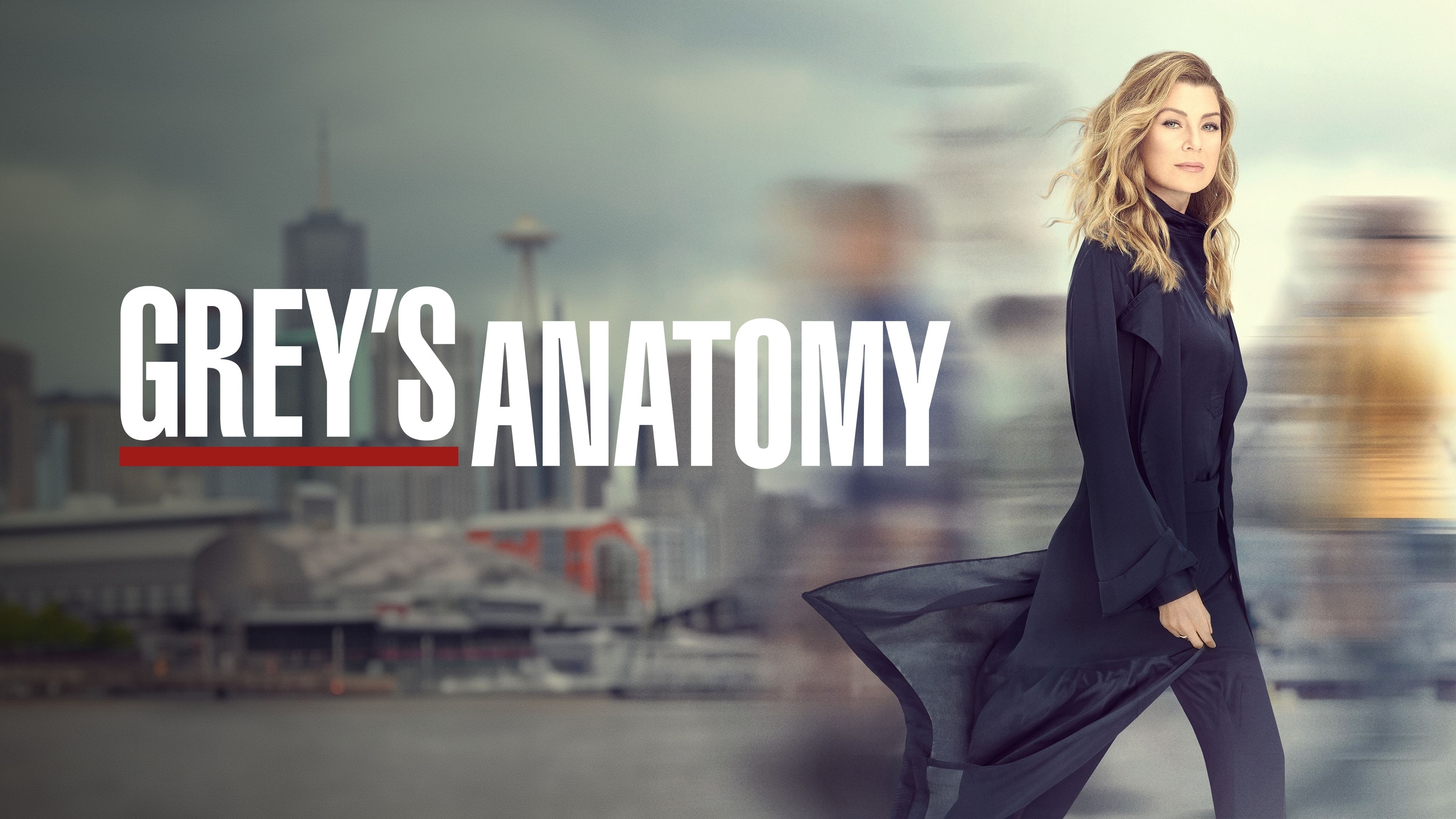 Grey's Anatomy - Season 19 Episode 17