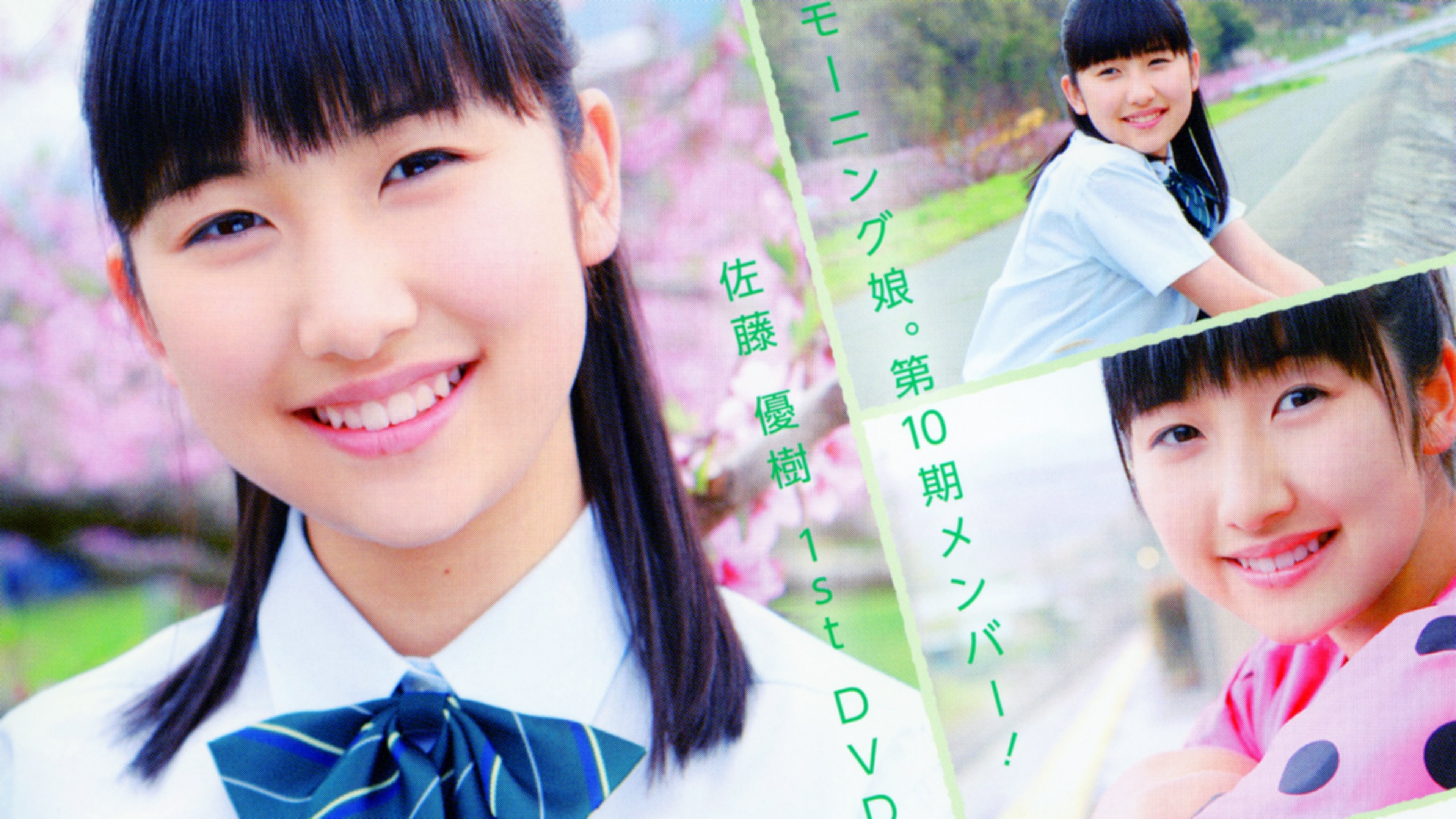 Sato Masaki ~Greeting~ (2012)