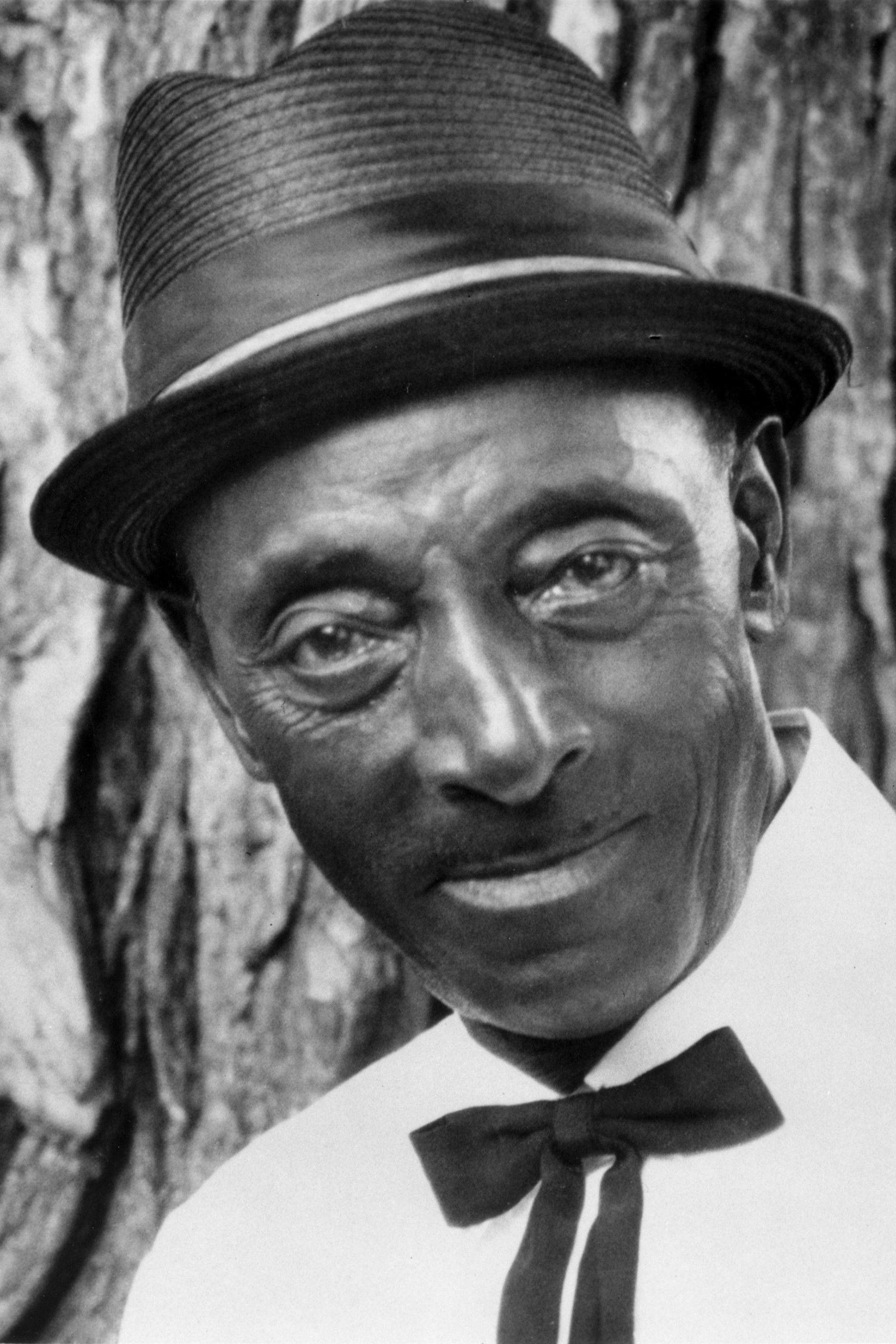 et billede af Fred McDowell