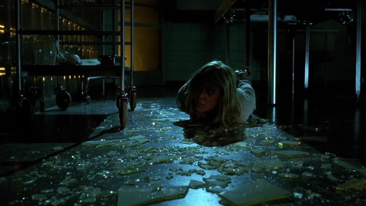 Nightwatch (1994)
